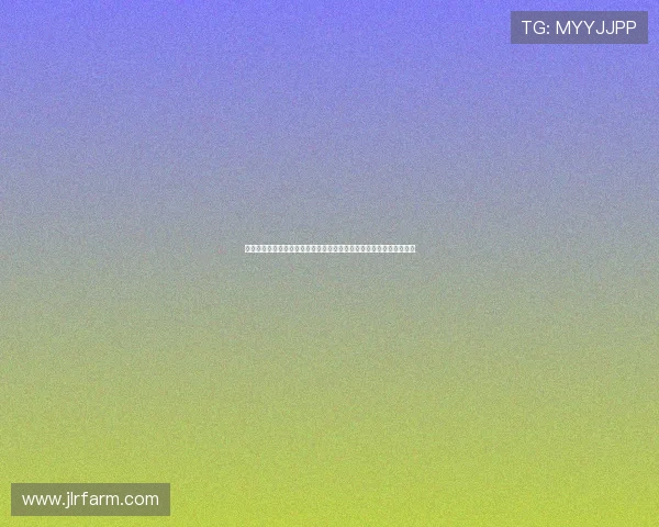 以巴哈姆特论坛为核心的动漫游戏社群发展新纪元探索趋势与未来展望